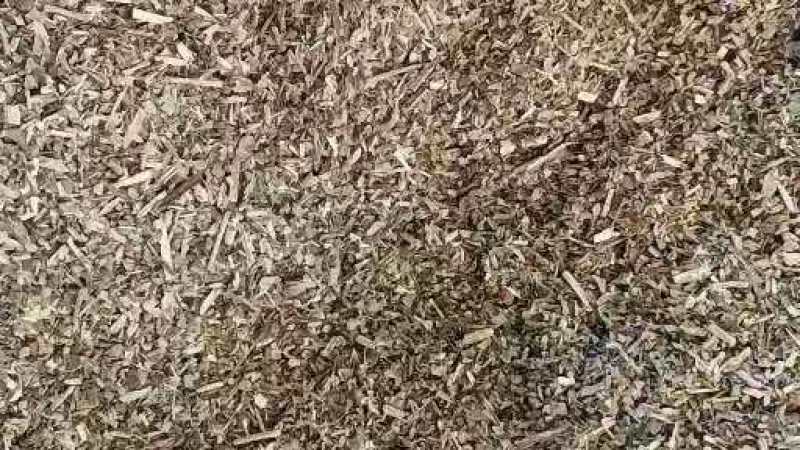 花生秧叶粉现大量有货货源充足产地直发欢迎咨询
