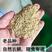 自产自销大量现货优质糙米