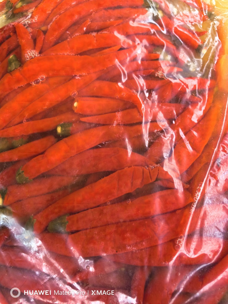 盐水泡菜红米椒小米辣二荆条小姜，一手货源厂家直发
