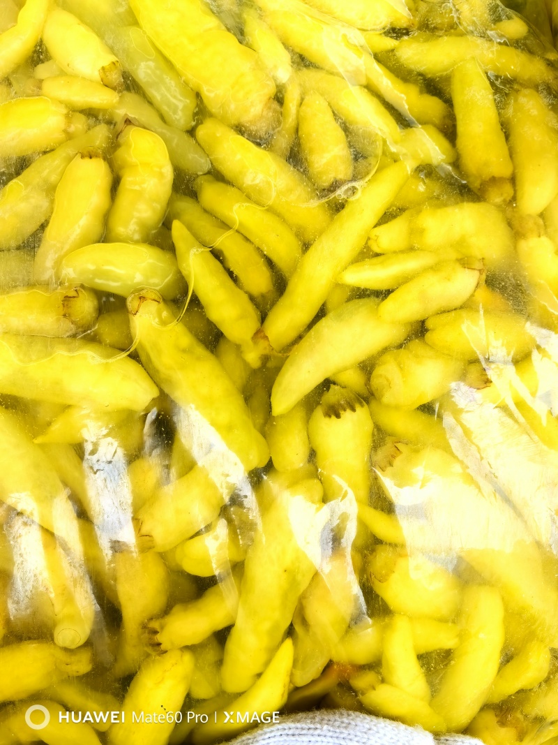 盐水泡菜红米椒小米辣二荆条小姜，一手货源厂家直发
