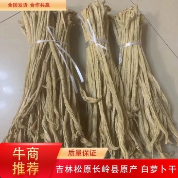萝卜干白萝卜干萝卜大根条大量现货出成率高