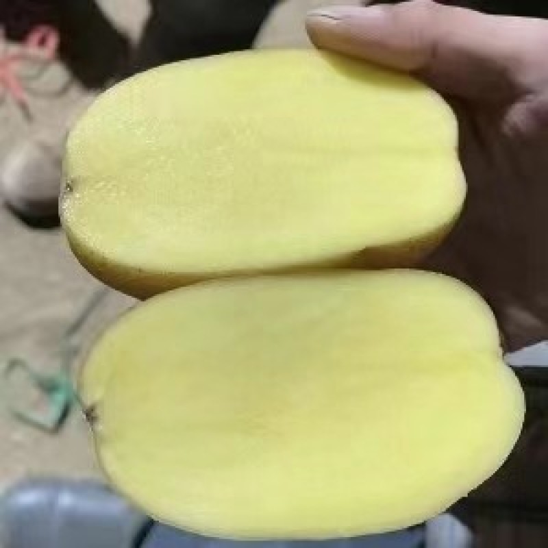 土豆