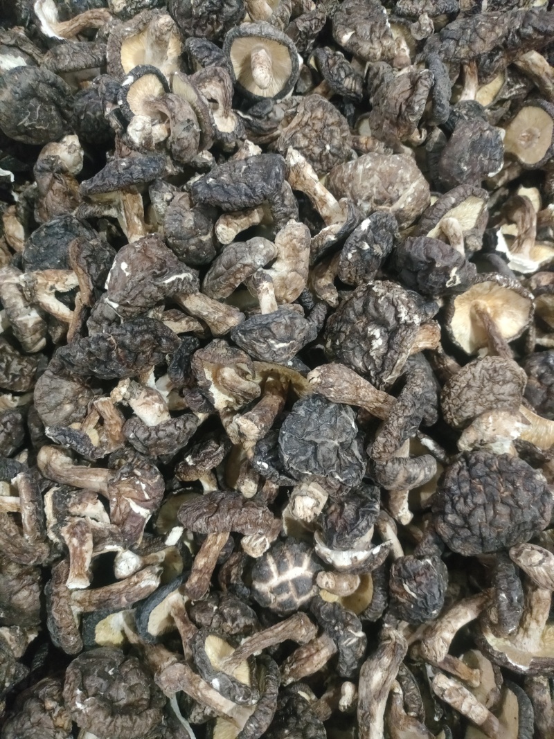 干香菇