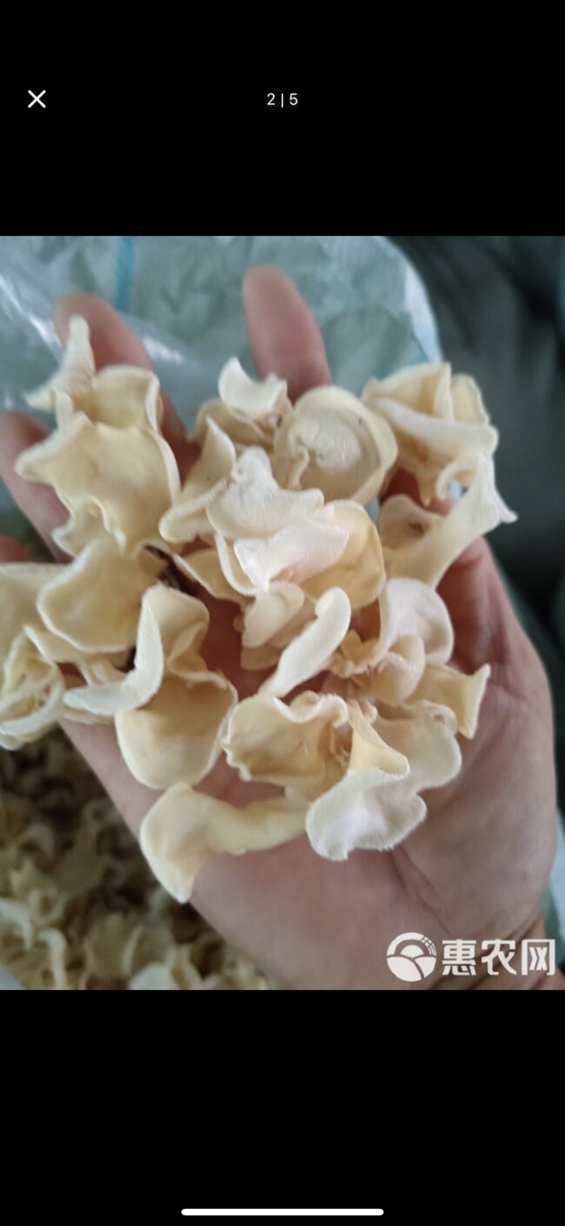 白木耳头茬干货
