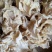 白木耳头茬干货