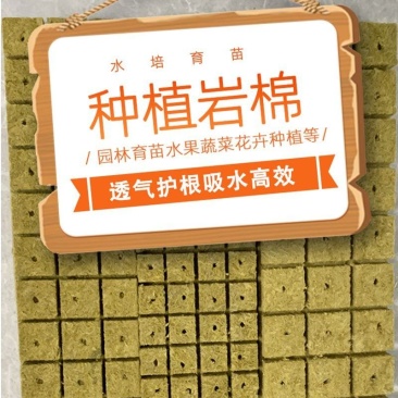 农岩棉育苗无土栽培环保便捷懒人室内园艺大棚蔬菜水果种植岩