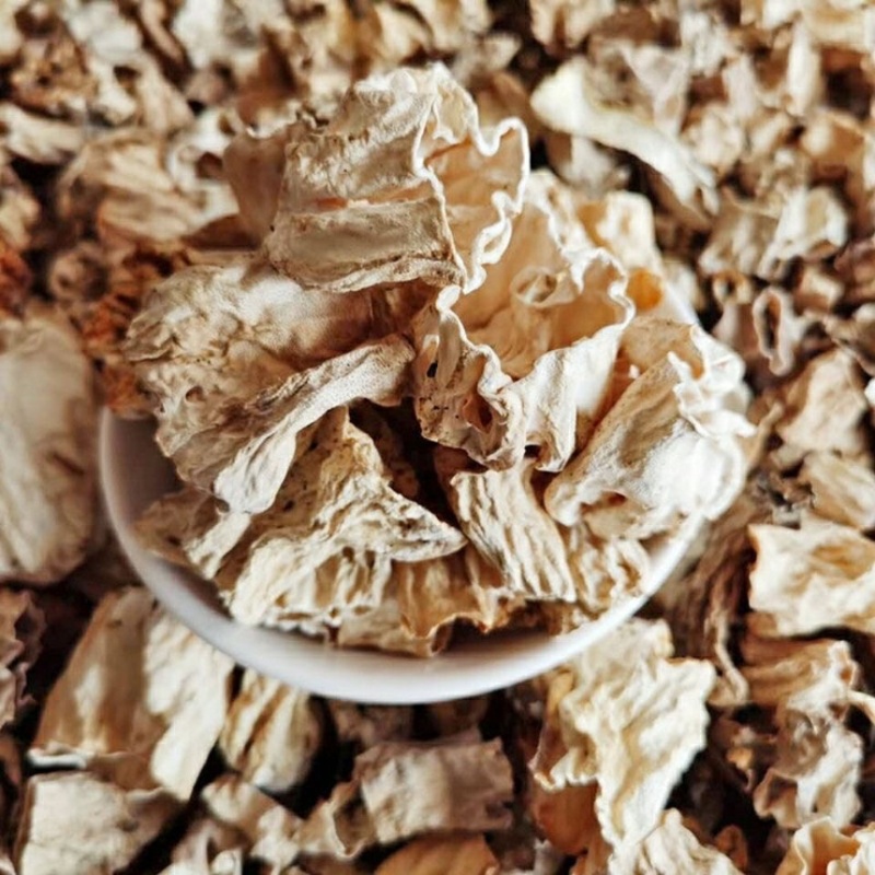 羊肚菌柄