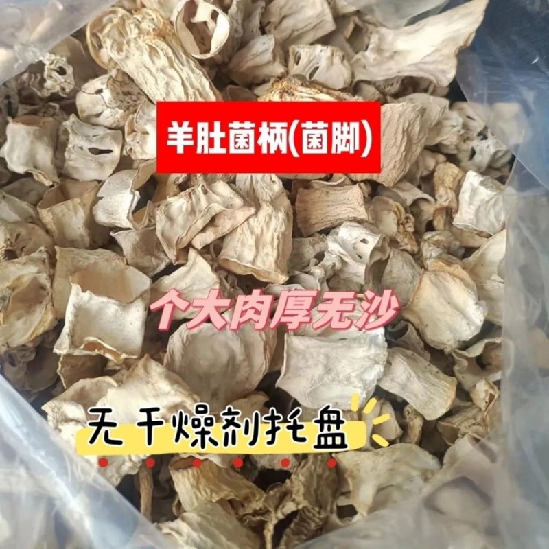 羊肚菌柄