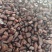 批发优质中药材花茶蒲公英根