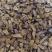 批发优质中药材花茶蒲公英根