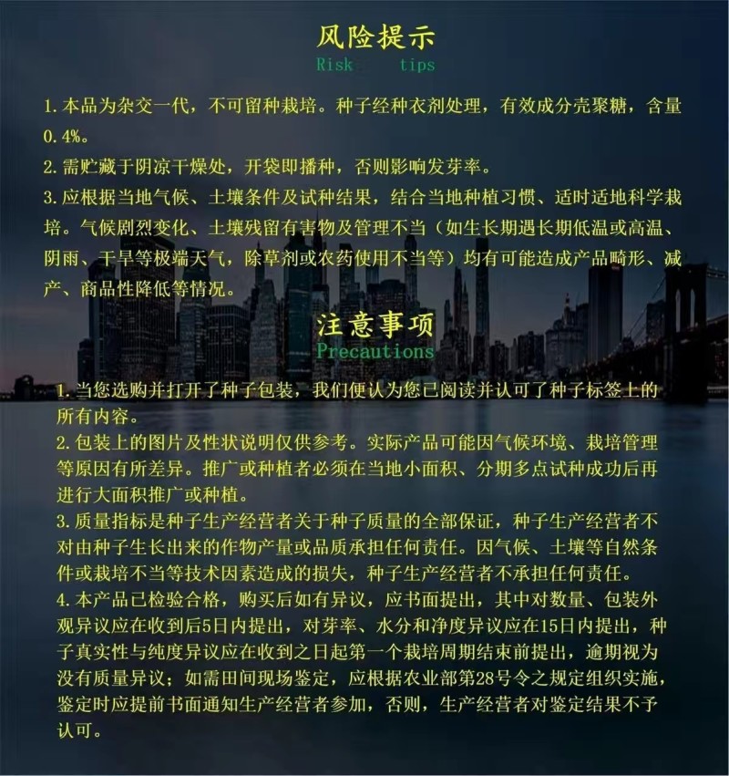 乾德21特色油亮短条黄瓜品种,绿瓤,口感好,长势强,热