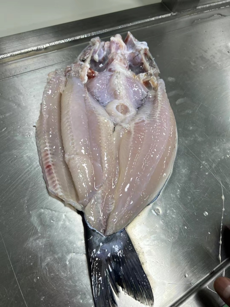 开背翻骨鮰鱼烤鱼店供应腌制翻骨去腥连锁烤鱼店同款