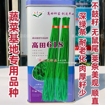高田618长豆角种子深绿条豇豆种子耐低温耐湿黑眉豆角种籽