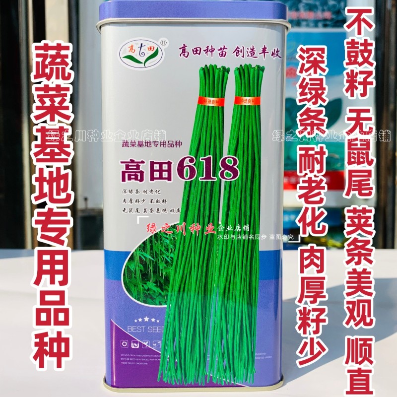 高田618长豆角种子深绿条豇豆种子耐低温耐湿黑眉豆角种籽