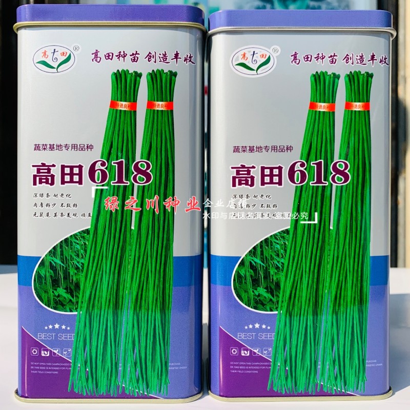 高田618长豆角种子深绿条豇豆种子耐低温耐湿黑眉豆角种籽