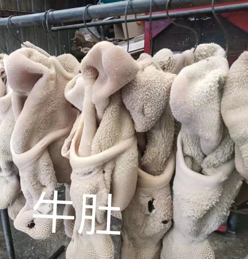 清真牛肚，河南产地一手货源，质量保证货源充足欢迎订购