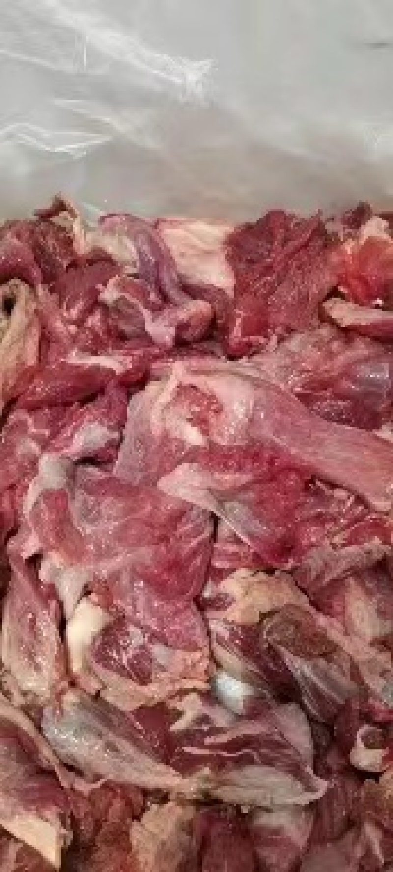清真生牛肉，河南产地一手货源，质量保证，欢迎订购量大可议