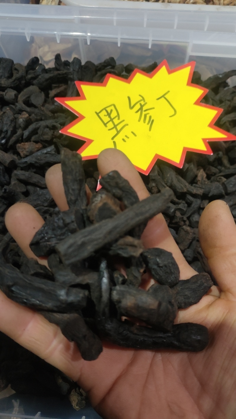 高丽参黑参丁