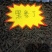 高丽参黑参丁