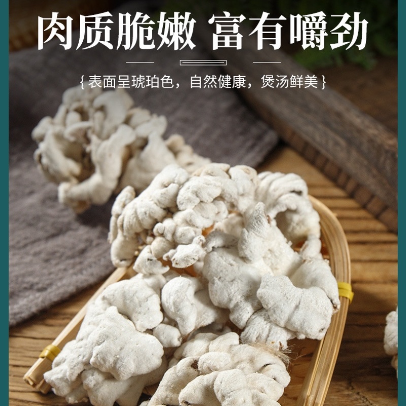 白参菌大片