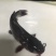 叉尾鮰鱼
