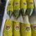 寿光精品头茬羊角蜜甜瓜大量供货对接商超市场