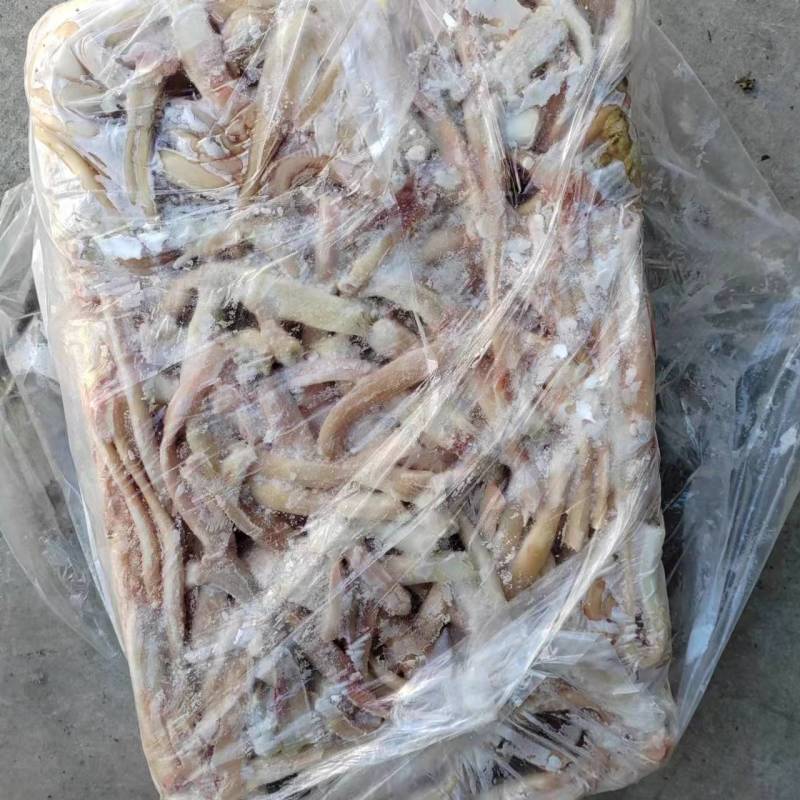 牛蹄主筋
