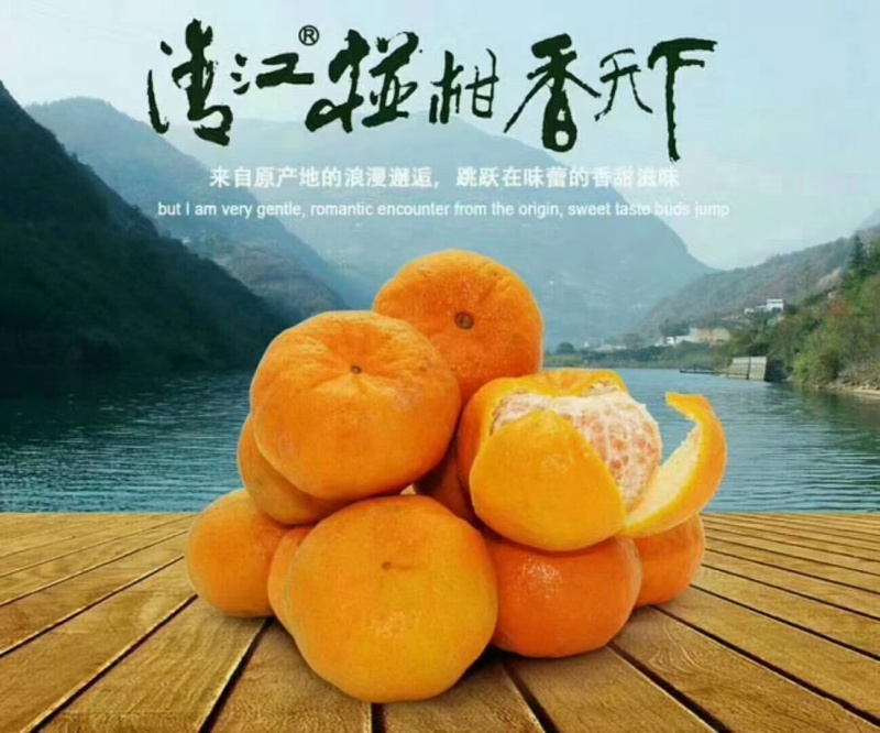 清江春椪柑