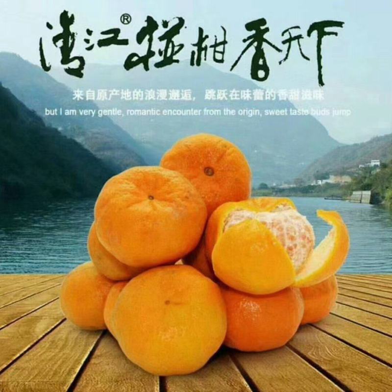 清江春椪柑