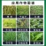 高效氟吡甲禾灵现代灭尖禾本科杂草专用除草剂20ml