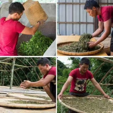 西双版纳自家（古树茶纯料）手工龙珠\8克/1颗一泡