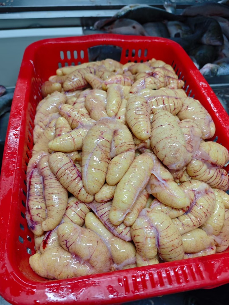 鲈鱼籽批发，源头工厂，价格实惠