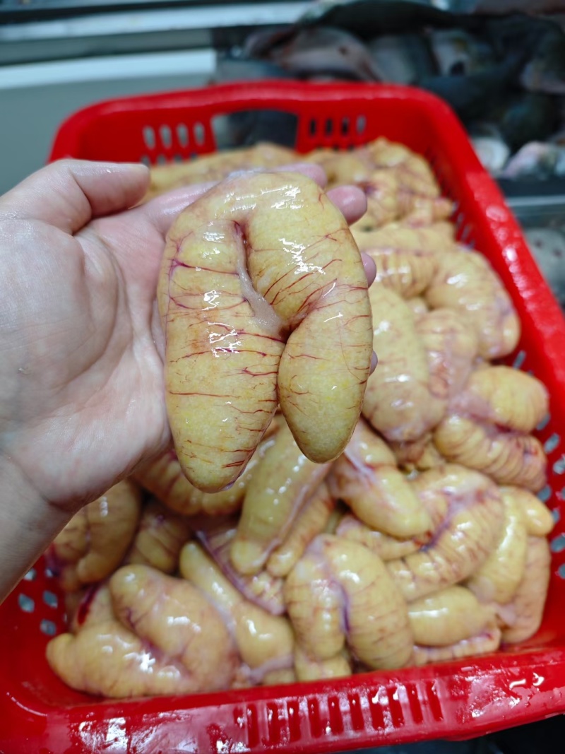 鲈鱼籽批发，源头工厂，价格实惠