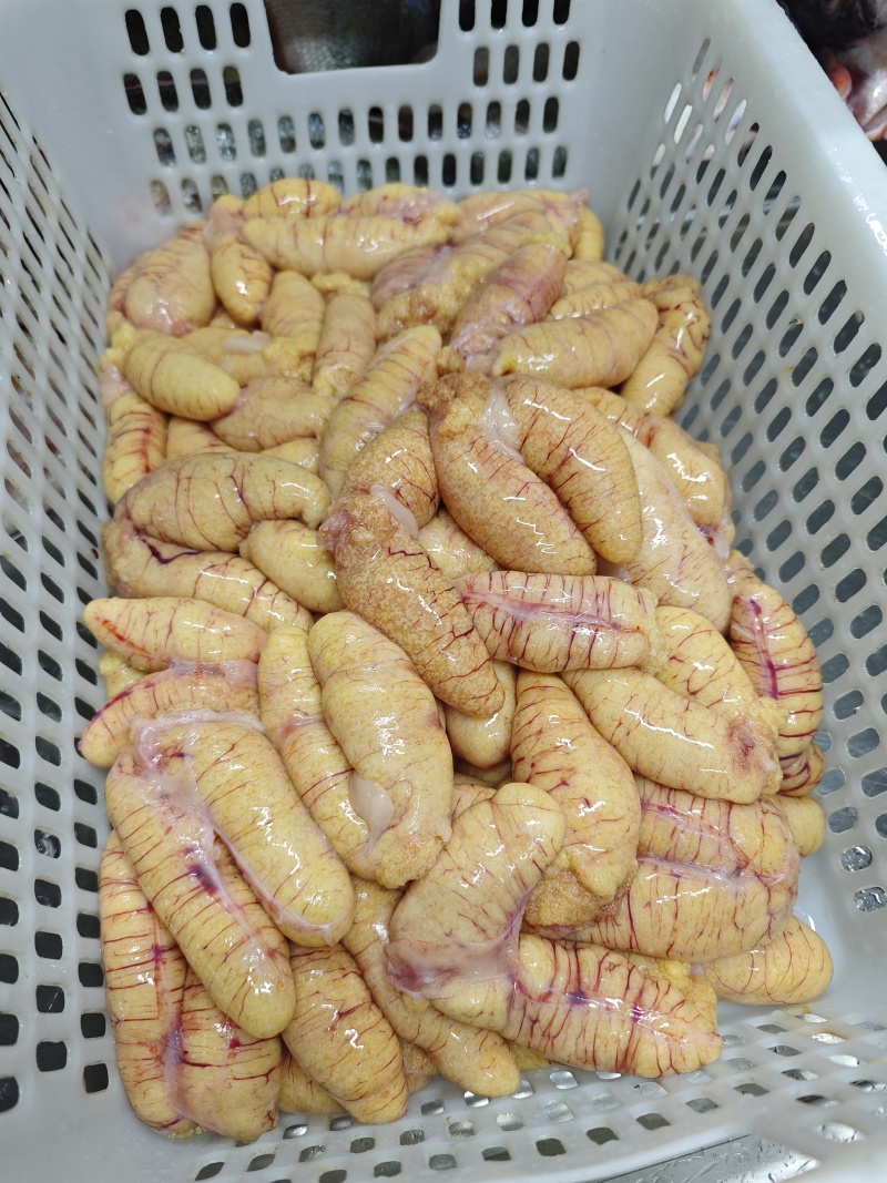 鲈鱼籽批发，源头工厂，价格实惠