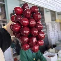 热卖美早樱桃，大量上市，基地直供，物美价廉，全国发货