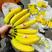 精品二黄蕉，支持验货，全国可发，保质保量
