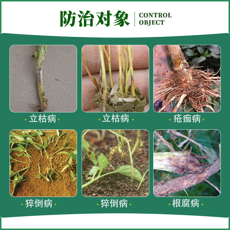 枯萎黄萎30%沪苗甲霜恶霉灵上苗清死苗烂根立枯根腐病农药