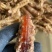 皮皮虾肉虾婆虾爬手工制作，支持定制，厂家直营