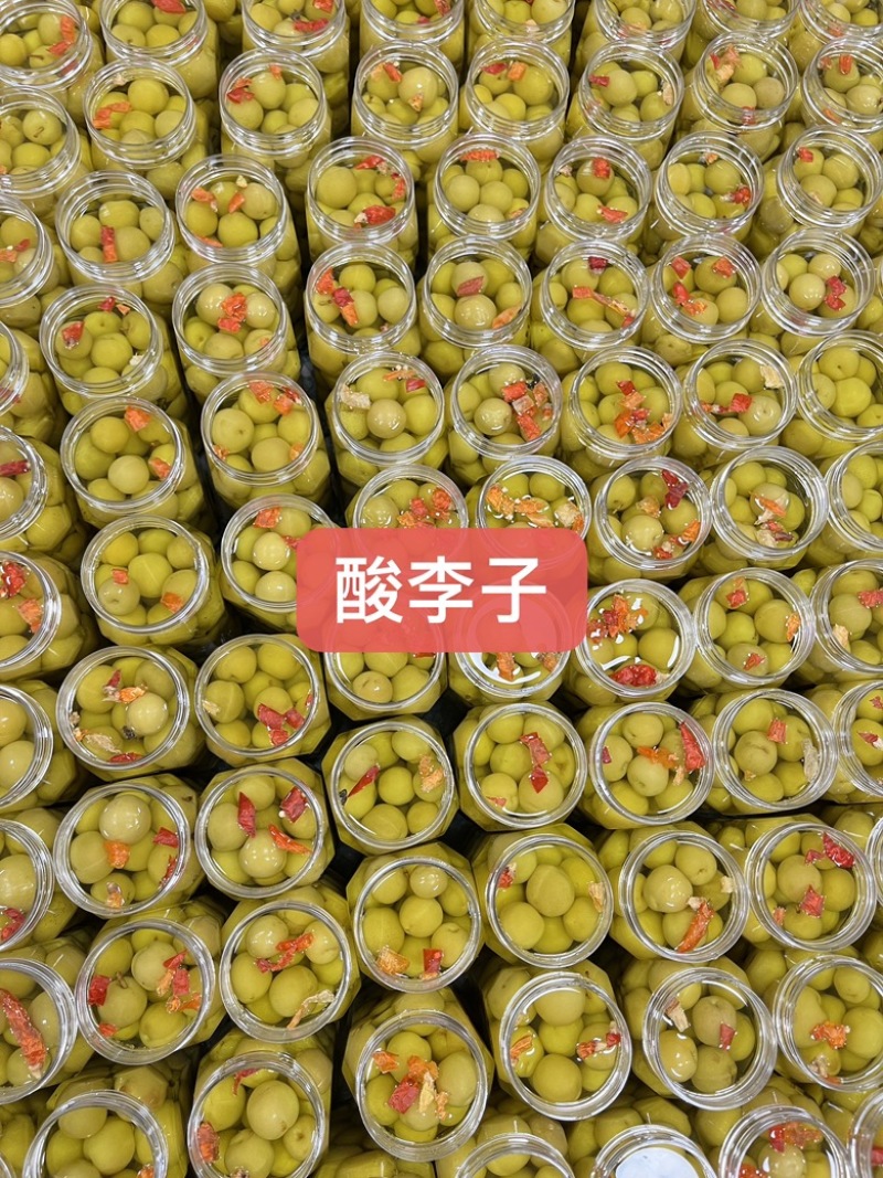 农家腌李子脆李一瓶2斤一箱24瓶酸辣好吃质量保证加钱美丽