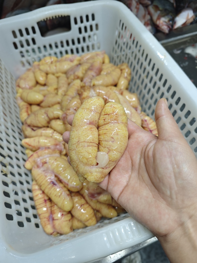 鲈鱼籽批发，源头工厂，价格实惠