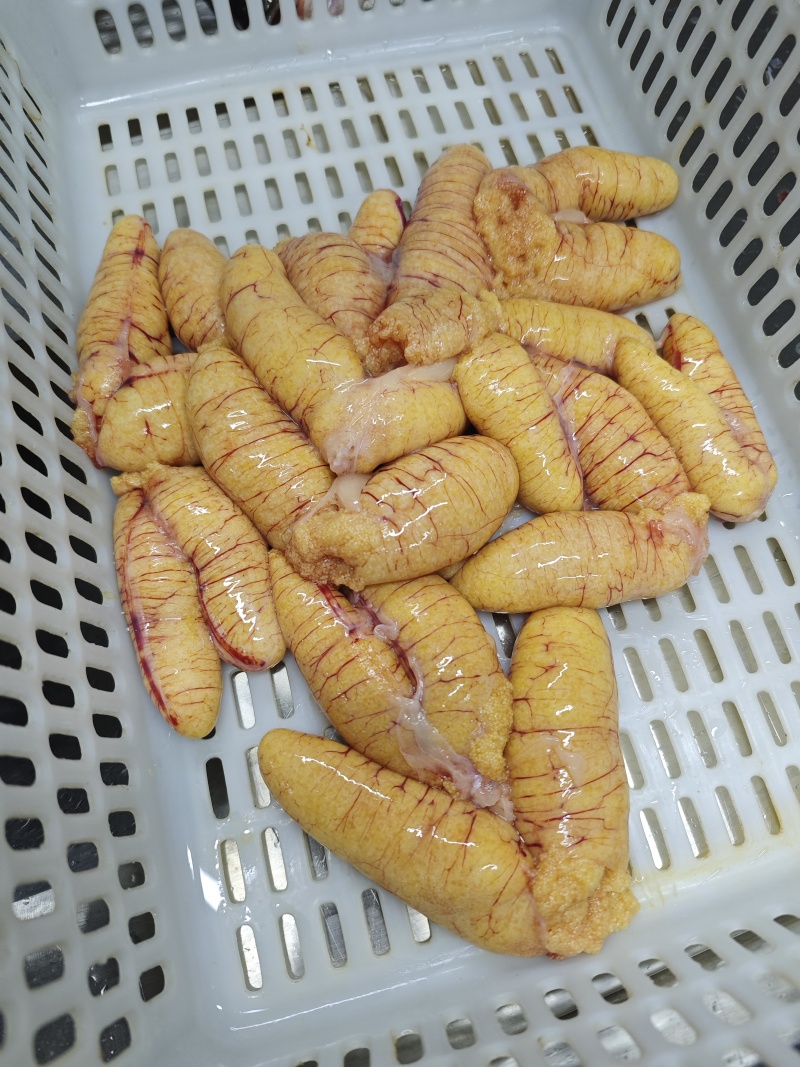 鲈鱼籽批发，源头工厂，价格实惠