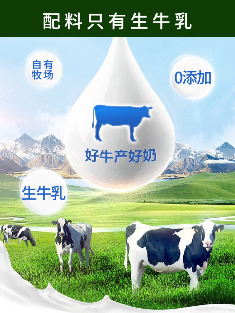19.9/袋新疆纯牛奶粉，30袋发货，独立包装携带方便