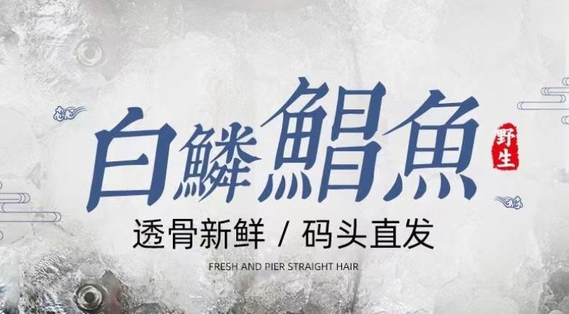 银鲳鱼特大深海新鲜鲜活海鲜冷冻深海白鲳鱼平鱼昌鱼新鲜水鱼