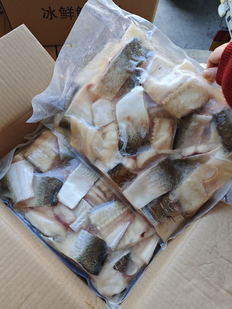 白鲢鱼块工厂直销清洗干净品质保证