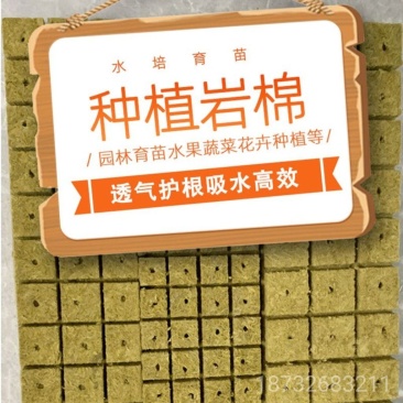 农岩棉育苗无土栽培环保便捷懒人室内园艺大棚蔬菜水果种植岩