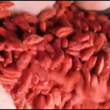 长期供货价格美丽24小时在线服务尽享枸杞好滋味