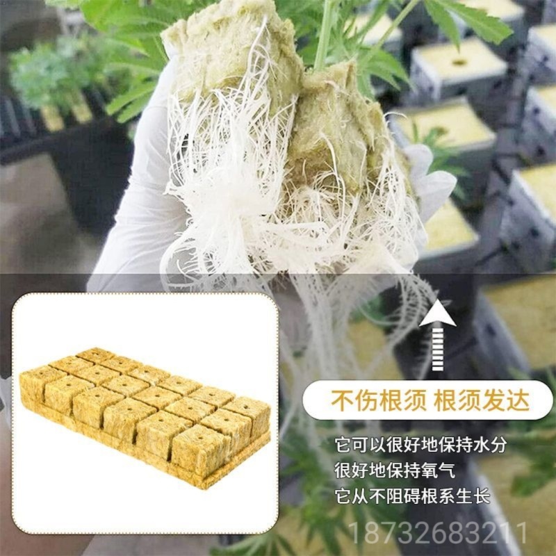 农岩棉育苗无土栽培环保便捷懒人室内园艺大棚蔬菜水果种植岩