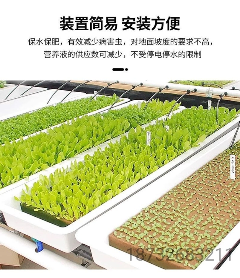 农岩棉育苗无土栽培环保便捷懒人室内园艺大棚蔬菜水果种植岩