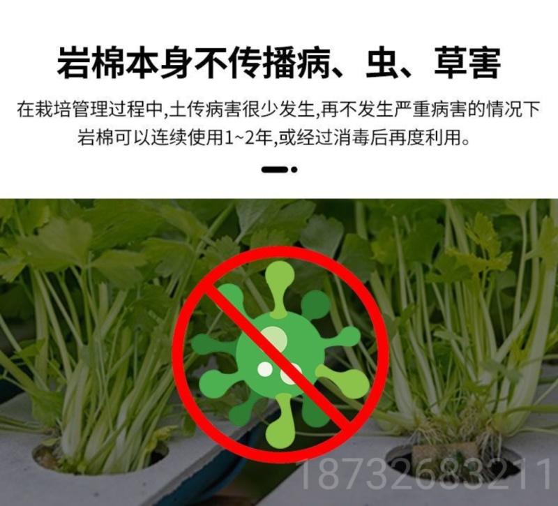 农岩棉育苗无土栽培环保便捷懒人室内园艺大棚蔬菜水果种植岩