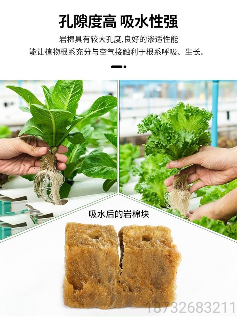 农岩棉育苗无土栽培环保便捷懒人室内园艺大棚蔬菜水果种植岩